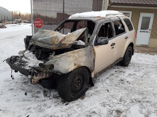 2009 FORD ESCAPE XLT, 