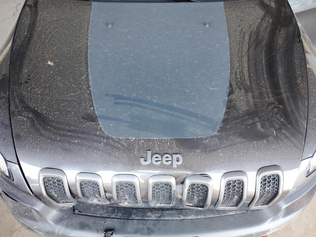 1C4PJMBS9HW562344 - 2017 JEEP CHEROKEE TRAILHAWK Grafit foto 11