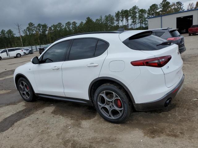 ZASPAKBN9N7D39023 - 2022 ALFA ROMEO STELVIO TI Ақ фото 2