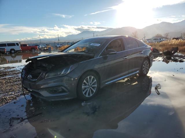 5NPE34AF8HH555705 - 2017 HYUNDAI SONATA SPORT BLACK photo 1