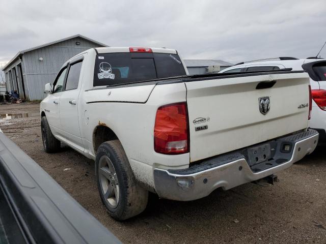 1D3HV13T79J513437 - 2009 DODGE RAM 1500 WHITE photo 2