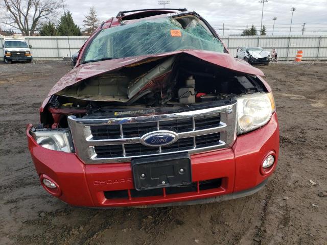 1FMCU03G89KC97378 - 2009 FORD ESCAPE XLT RED photo 5