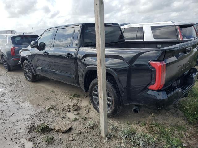 5TFNA5AB5PX026479 - 2023 TOYOTA TUNDRA CREWMAX PLATINUM 黑色 照片 2