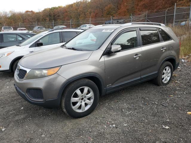 2011 KIA SORENTO BASE, 