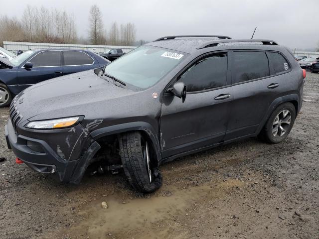 1C4PJMBS3HW578121 - 2017 JEEP CHEROKEE TRAILHAWK GRAY photo 1