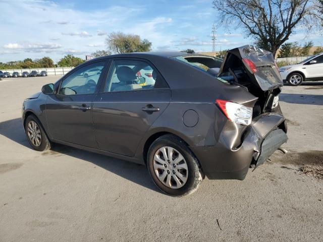 KNAFU4A24D5736256 - 2013 KIA FORTE EX BROWN photo 2