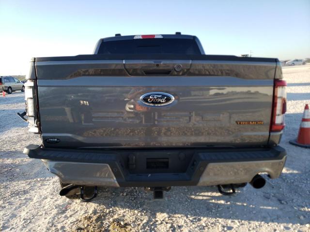 1FTEW1E81PFB41711 - 2023 FORD F150 SUPERCREW GRAY photo 6