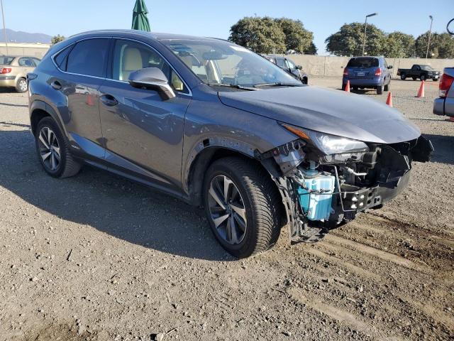 JTJBJRBZ9K2120874 - 2019 LEXUS NX 300H GRAY photo 4