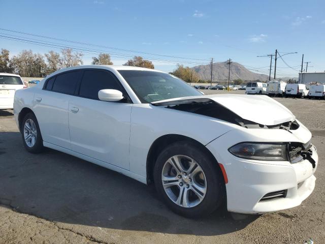 2C3CDXBG0LH124083 - 2020 DODGE CHARGER SXT WHITE photo 4