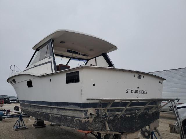 TRJ060850676 - 1976 TROJ BOAT WHITE photo 3