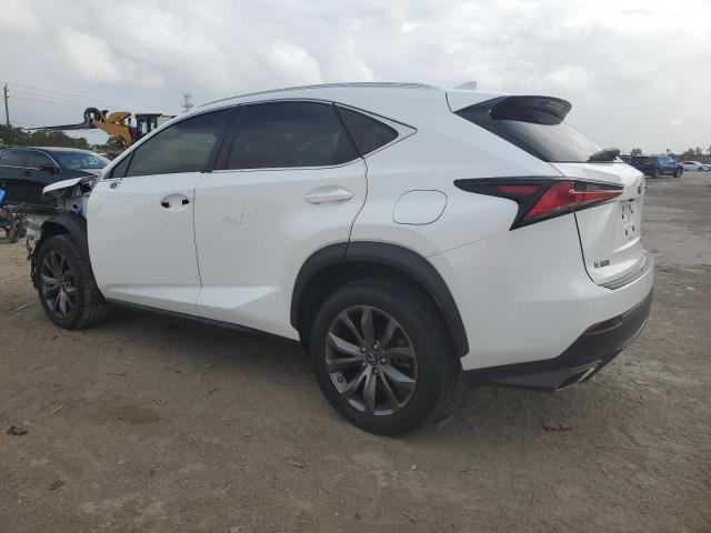 JTJSARBZ9M5022168 - 2021 LEXUS NX 300 BASE WHITE photo 2