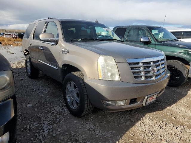 1GYFK63837R228339 - 2007 CADILLAC ESCALADE LUXURY BEIGE photo 4