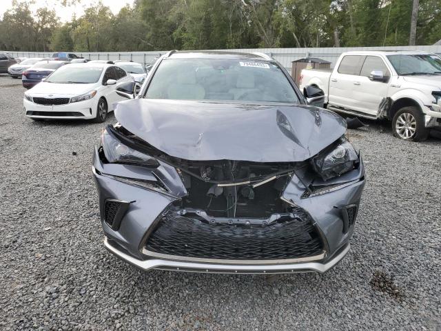 JTJSARBZ5M2192092 - 2021 LEXUS NX 300 BASE Boz foto 5