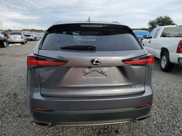 JTJSARBZ5M2192092 - 2021 LEXUS NX 300 BASE Boz foto 6