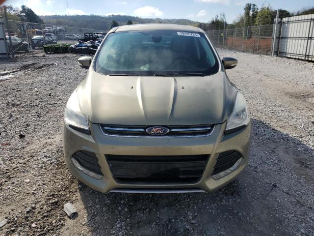 1FMCU0HXXDUB54955 - 2013 FORD ESCAPE SEL GREEN photo 5