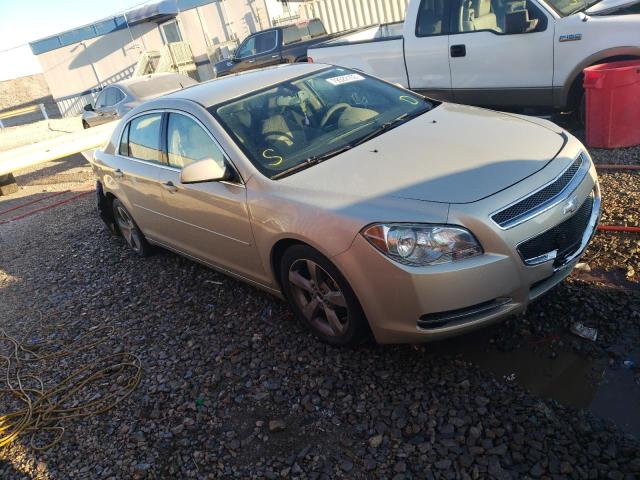 1G1ZC5EU9BF108312 - 2011 CHEVROLET MALIBU 1LT 金色 照片 4