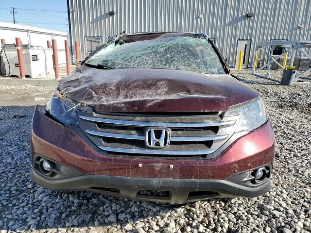 5J6RM4H72EL014650 - 2014 HONDA CR-V EXL MAROON photo 5