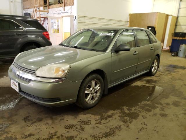 1G1ZT62815F306769 - 2005 CHEVROLET MALIBU MAXX LS 绿色 照片 1
