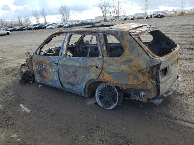 5UXFE83519L309259 - 2009 BMW X5 XDRIVE48I BURN photo 2
