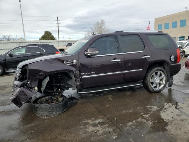 2009 CADILLAC ESCALADE LUXURY, 