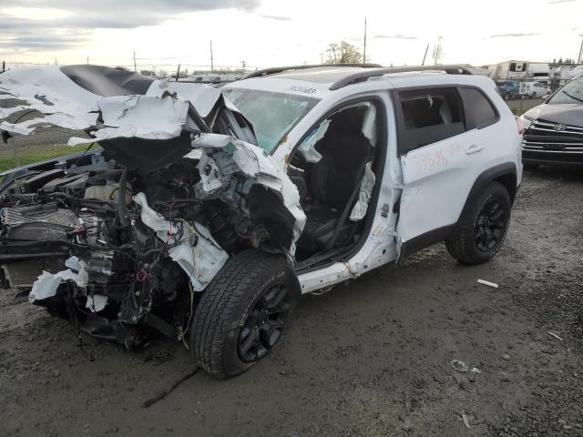1C4PJMBX6MD201168 - 2021 JEEP CHEROKEE TRAILHAWK Ağ foto 1