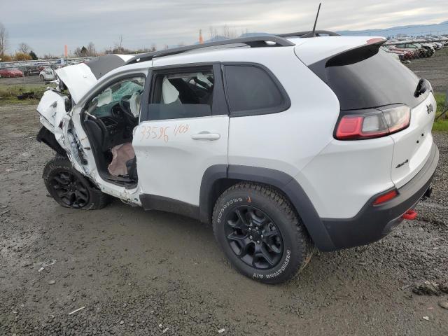 1C4PJMBX6MD201168 - 2021 JEEP CHEROKEE TRAILHAWK Ağ foto 2