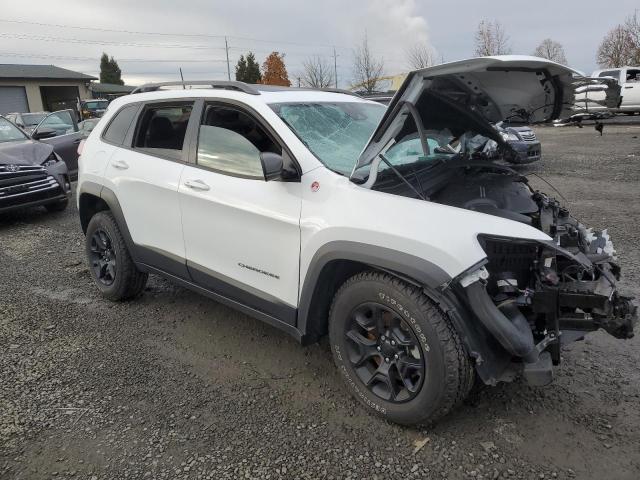 1C4PJMBX6MD201168 - 2021 JEEP CHEROKEE TRAILHAWK Ağ foto 4