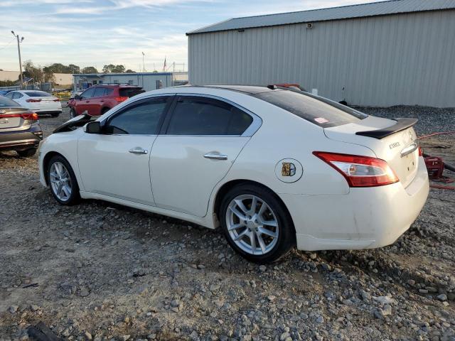 1N4AA5AP1AC827926 - 2010 NISSAN MAXIMA S WHITE photo 2