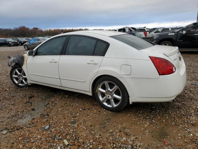 1N4BA41E54C840454 - 2004 NISSAN MAXIMA SE WHITE photo 2