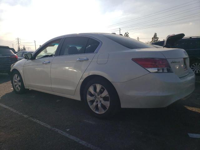 1HGCP36848A084127 - 2008 HONDA ACCORD EXL WHITE photo 2