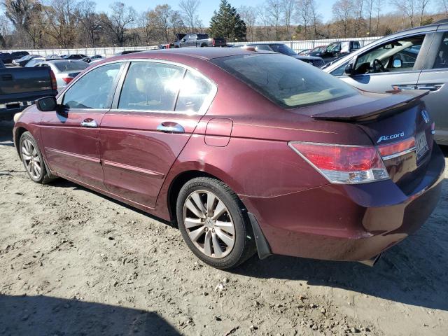 1HGCP3F83CA034540 - 2012 HONDA ACCORD EXL BURGUNDY photo 2