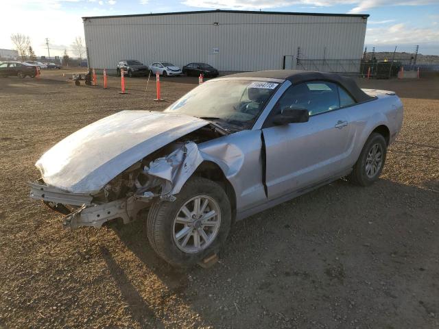 1ZVHT84N185192555 - 2008 FORD MUSTANG SILVER photo 1
