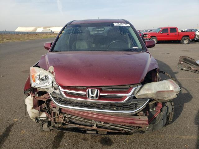 5J6RE3H70AL050452 - 2010 HONDA CR-V EXL BURGUNDY photo 5