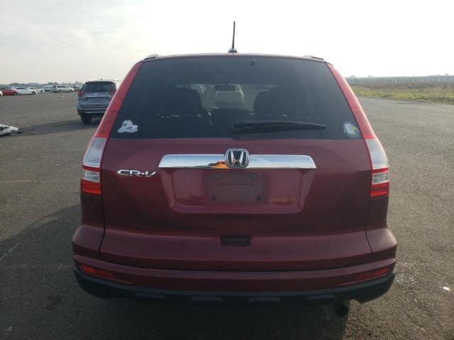 5J6RE3H70AL050452 - 2010 HONDA CR-V EXL BURGUNDY photo 6