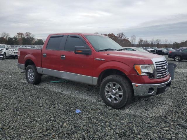 1FTFW1EV2AFB15295 - 2010 FORD F150 SUPERCREW RED photo 4