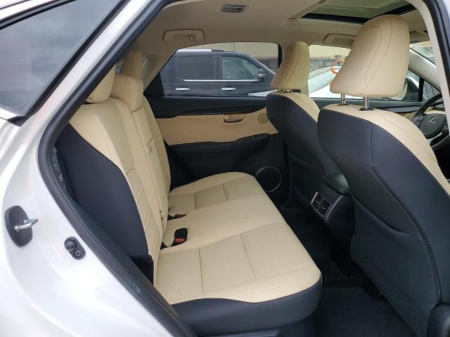 JTJGARBZ4M5020625 - 2021 LEXUS NX 300 BASE Ağ foto 10