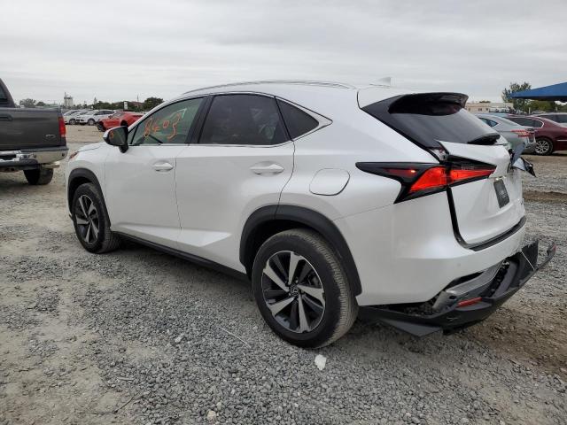 JTJGARBZ4M5020625 - 2021 LEXUS NX 300 BASE Ağ foto 2