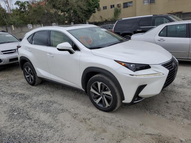 JTJGARBZ4M5020625 - 2021 LEXUS NX 300 BASE Ağ foto 4