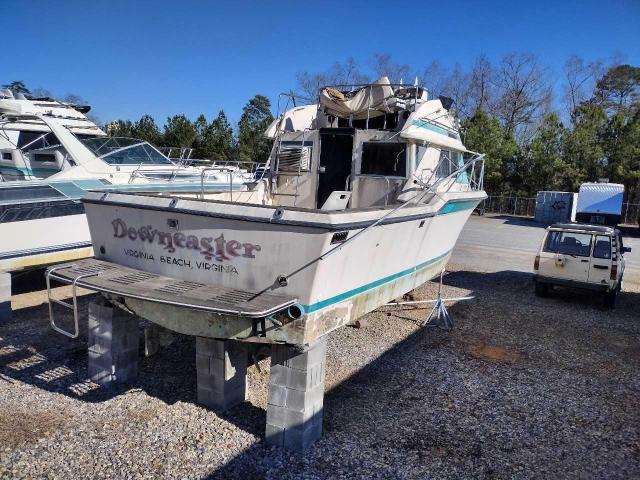 CCHEC07IM84C315 - 1984 CHRI BOAT TWO TONE photo 4