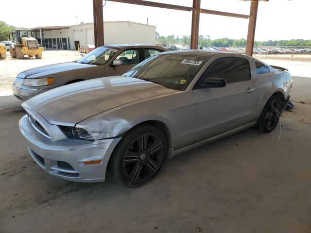 1ZVBP8AM1D5261244 - 2013 FORD MUSTANG SILVER photo 1