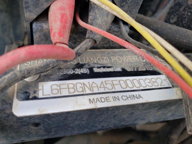 L6FBGNA45F0000382 - 2015 ODES DOMINATOR BLACK photo 10