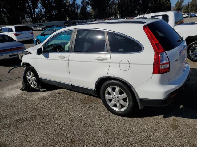 JHLRE38768C025901 - 2008 HONDA CR-V EXL WHITE photo 2