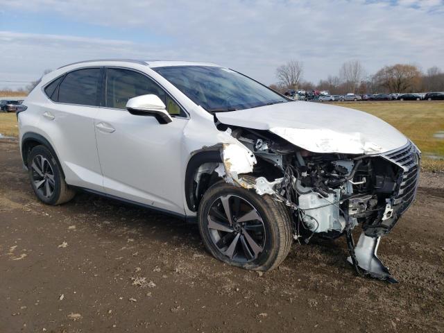 JTJGARBZ2M2179578 - 2021 LEXUS NX 300 BASE 白色 照片 4