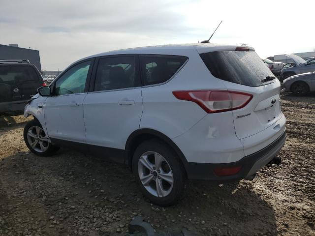 1FMCU9G92EUD66760 - 2014 FORD ESCAPE SE WHITE photo 2