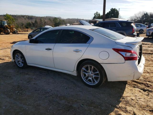 1N4AA51E19C807766 - 2009 NISSAN MAXIMA S WHITE photo 2