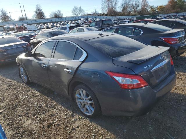 1N4AA51E39C853597 - 2009 NISSAN MAXIMA S BLUE photo 2