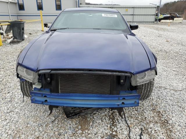 1ZVBP8AM0E5284564 - 2014 FORD MUSTANG BLUE photo 5