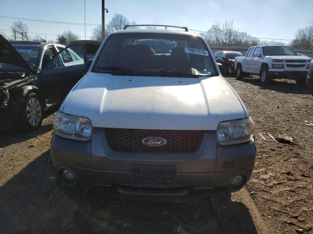 1FMCU93156KD09689 - 2006 FORD ESCAPE XLT WHITE photo 5