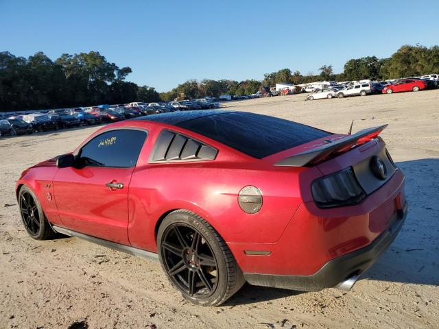 1ZVBP8AM0B5166400 - 2011 FORD MUSTANG RED photo 2