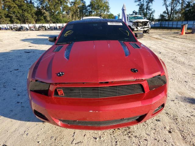 1ZVBP8AM0B5166400 - 2011 FORD MUSTANG RED photo 5